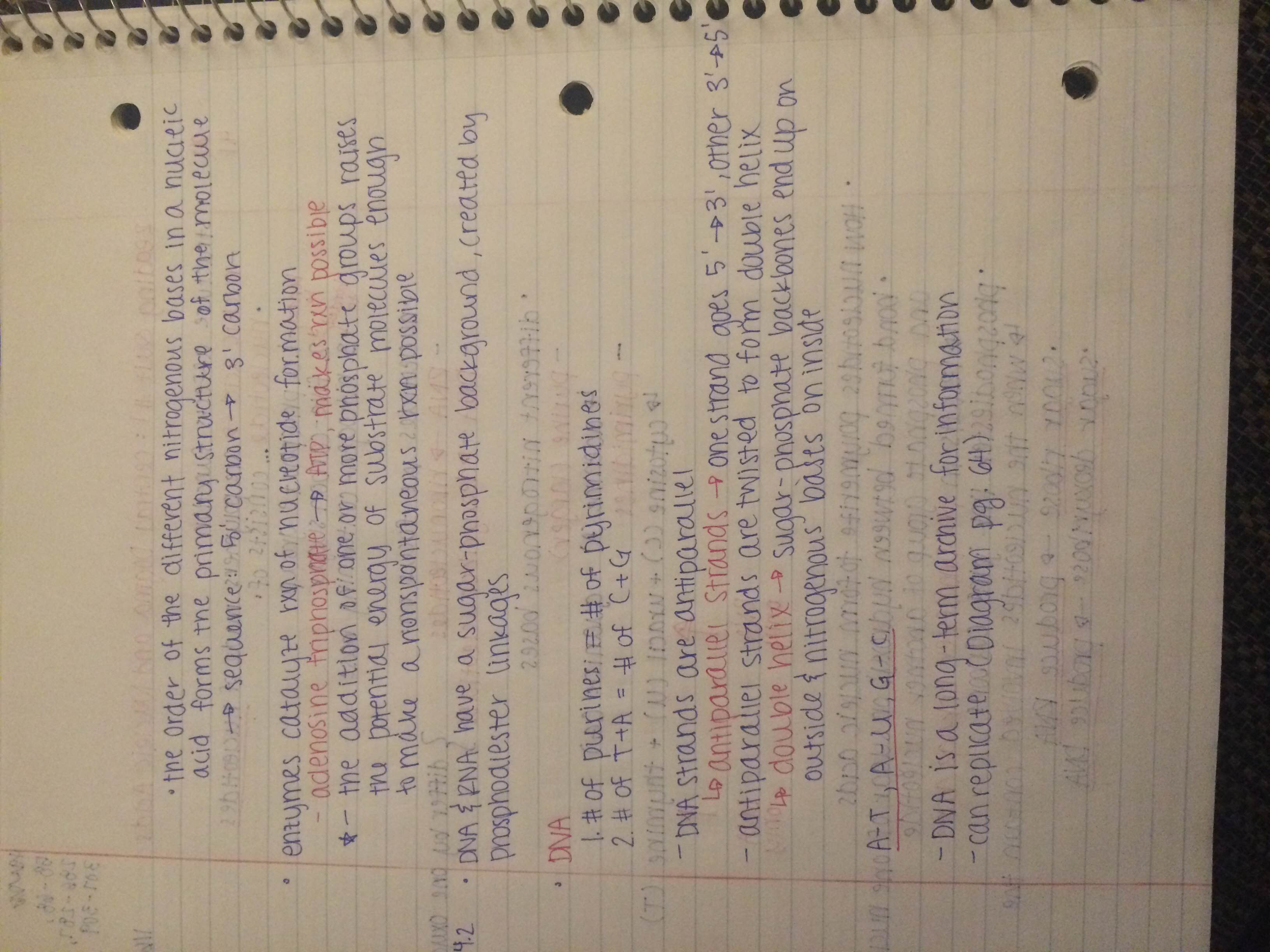 Day 1 of Reading Notes