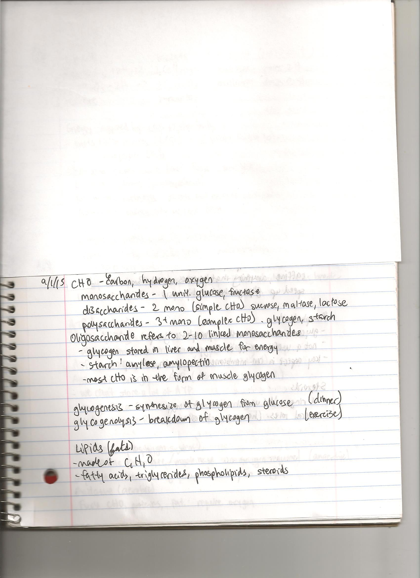 week 2, KIN 482 exercise physiology, LEE