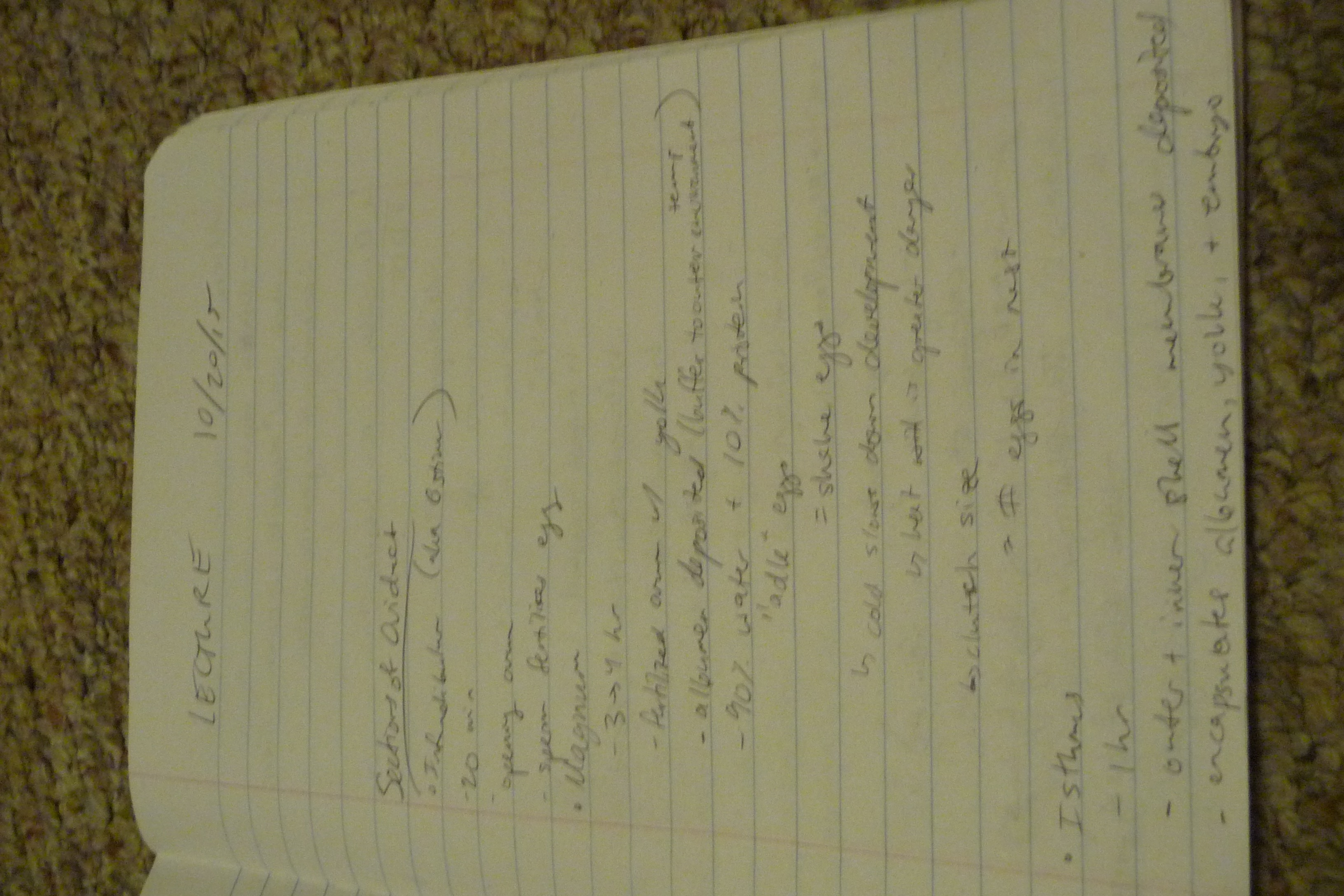 Week #9 Notes