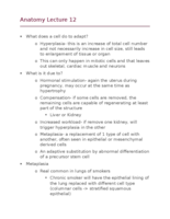 Anatomy and phys lecture 12