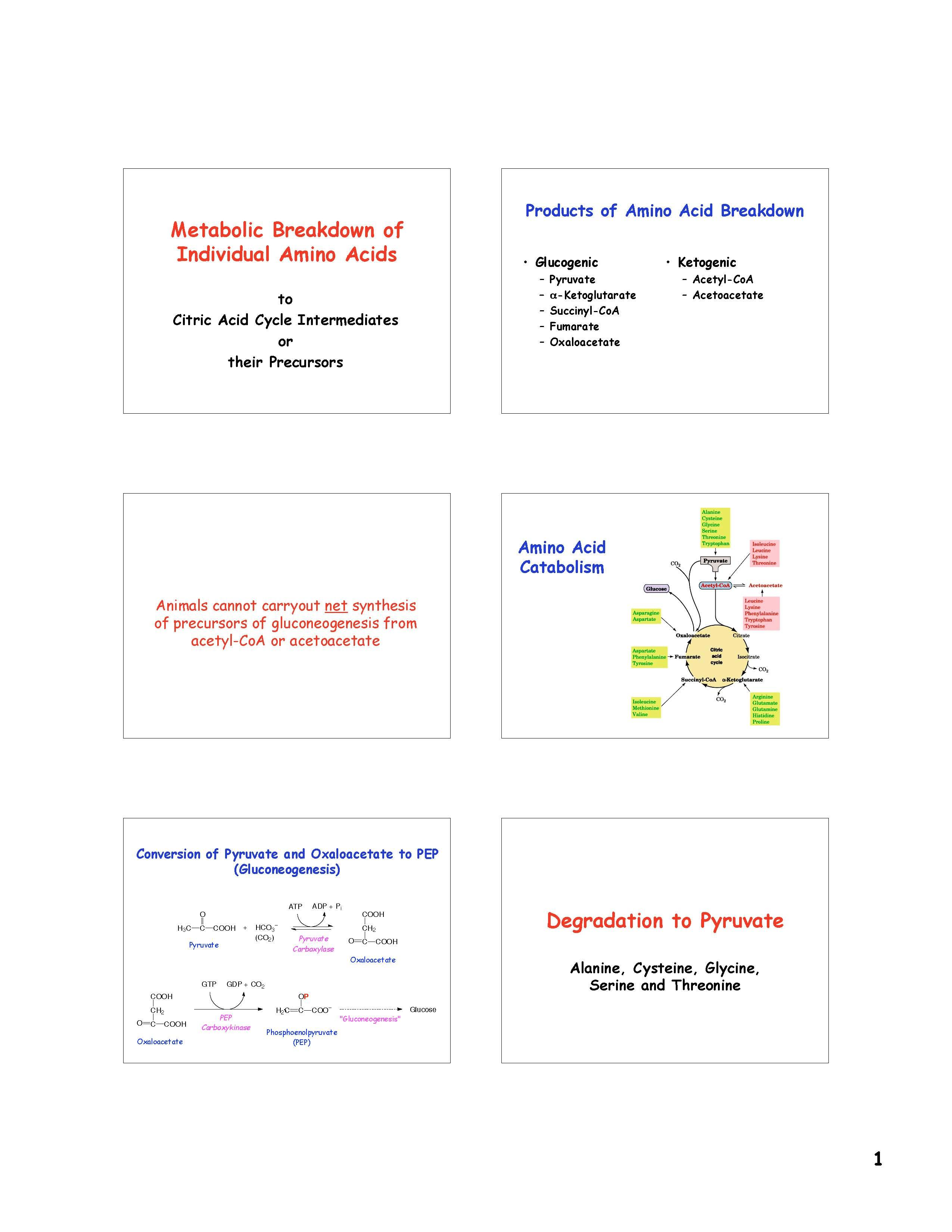 Biochemistry Biosynthetic and Energy Metabolism and Its Regulation