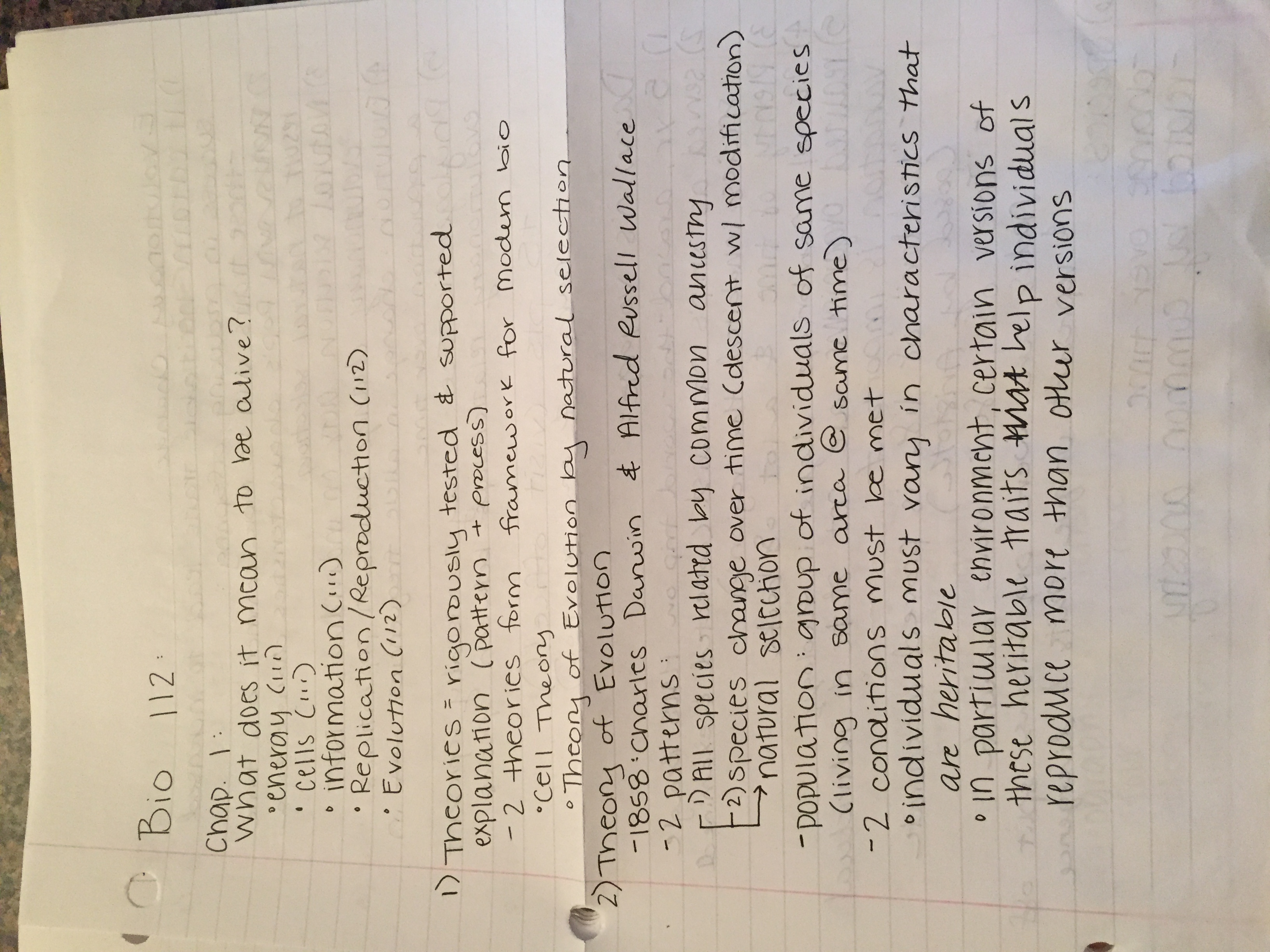 First 2 Weeks of Notes