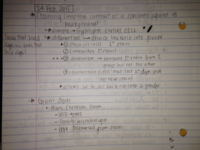 Notes (2 Weeks)