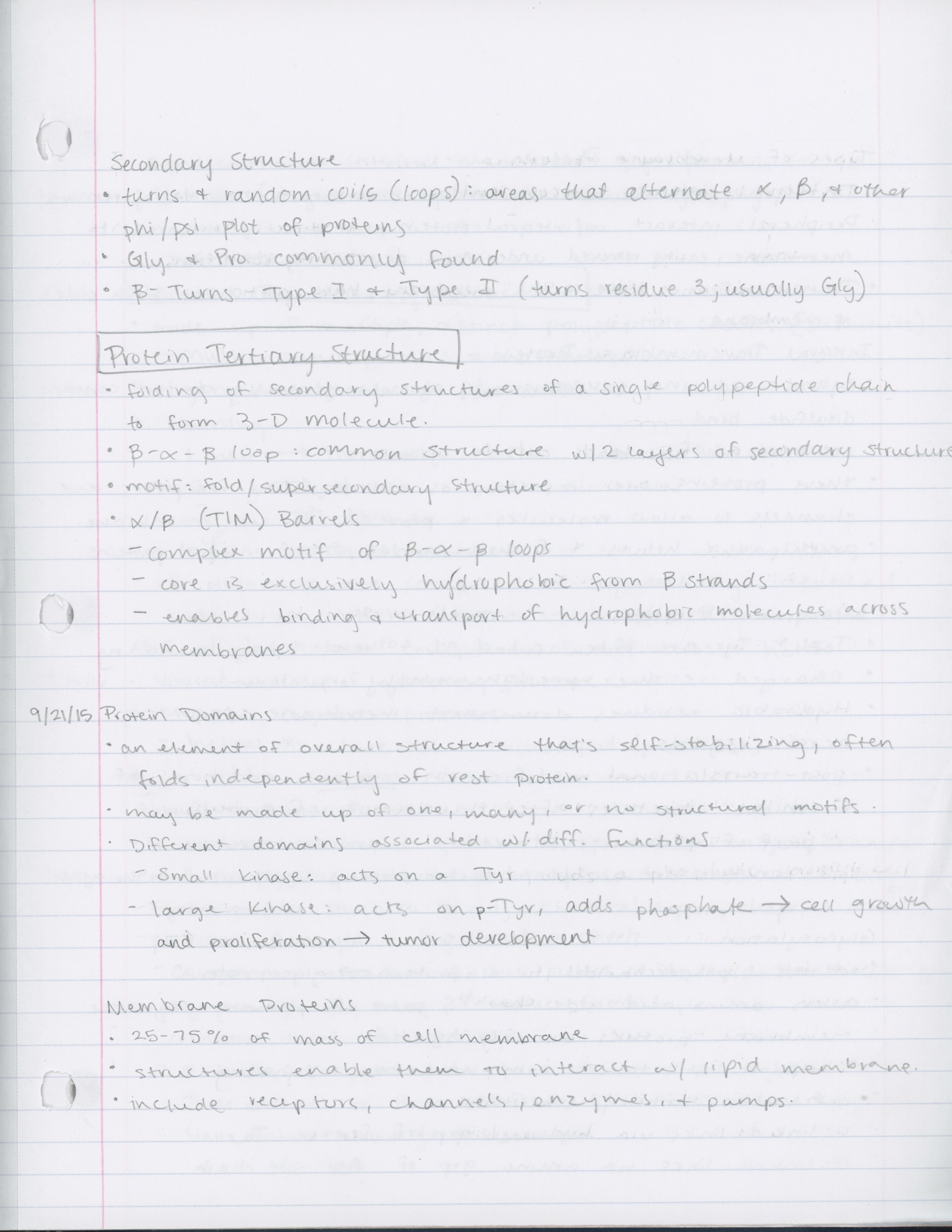 Week 3 Notes-Biochemistry 1