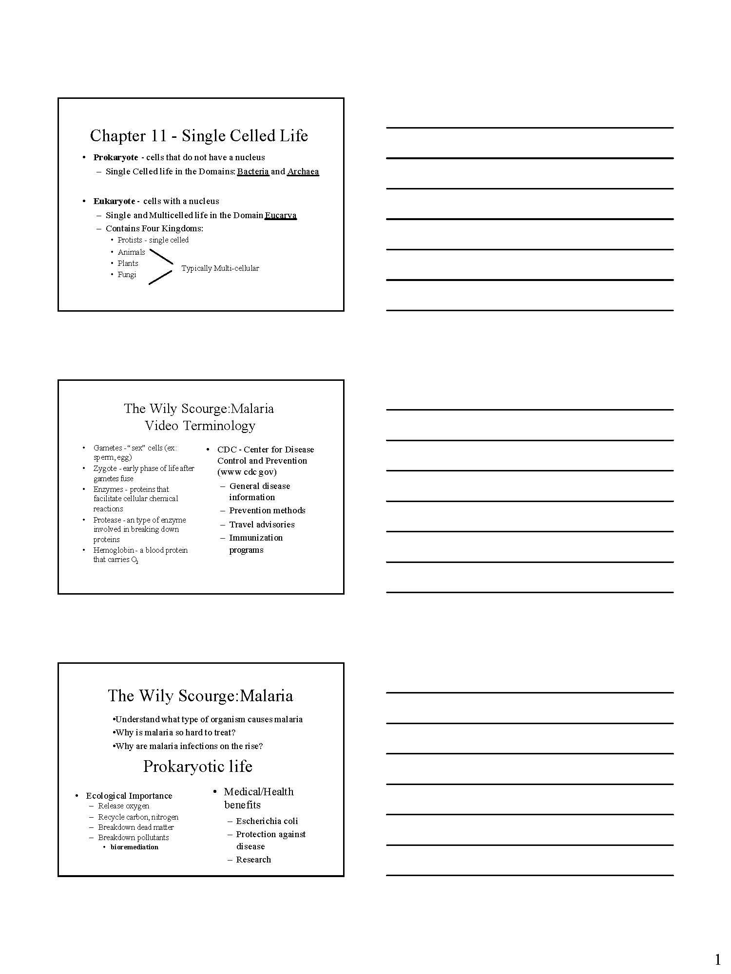 Intro to Biology I