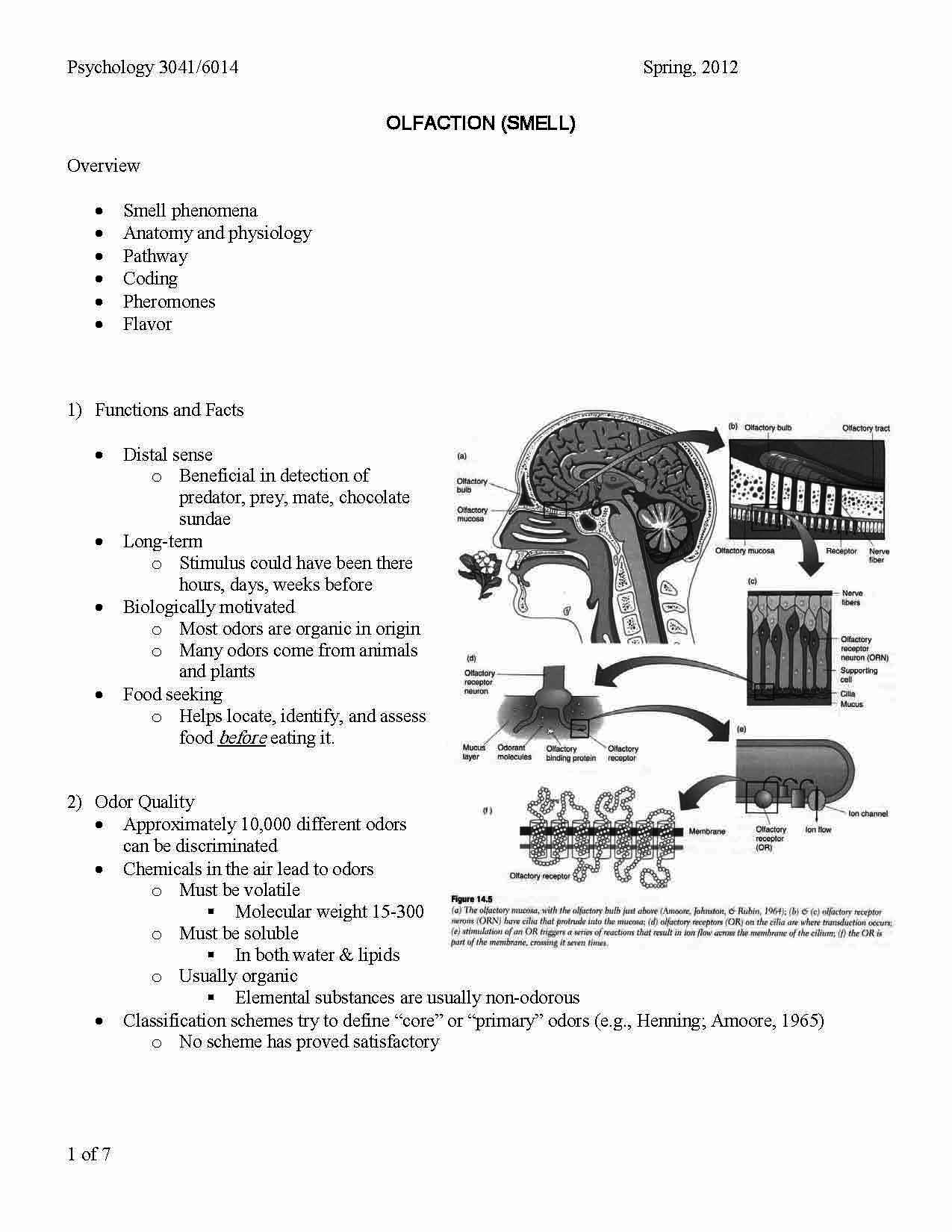 Human Sensation&Percept