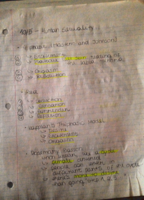 Arousal Models + Sexual Differentiation