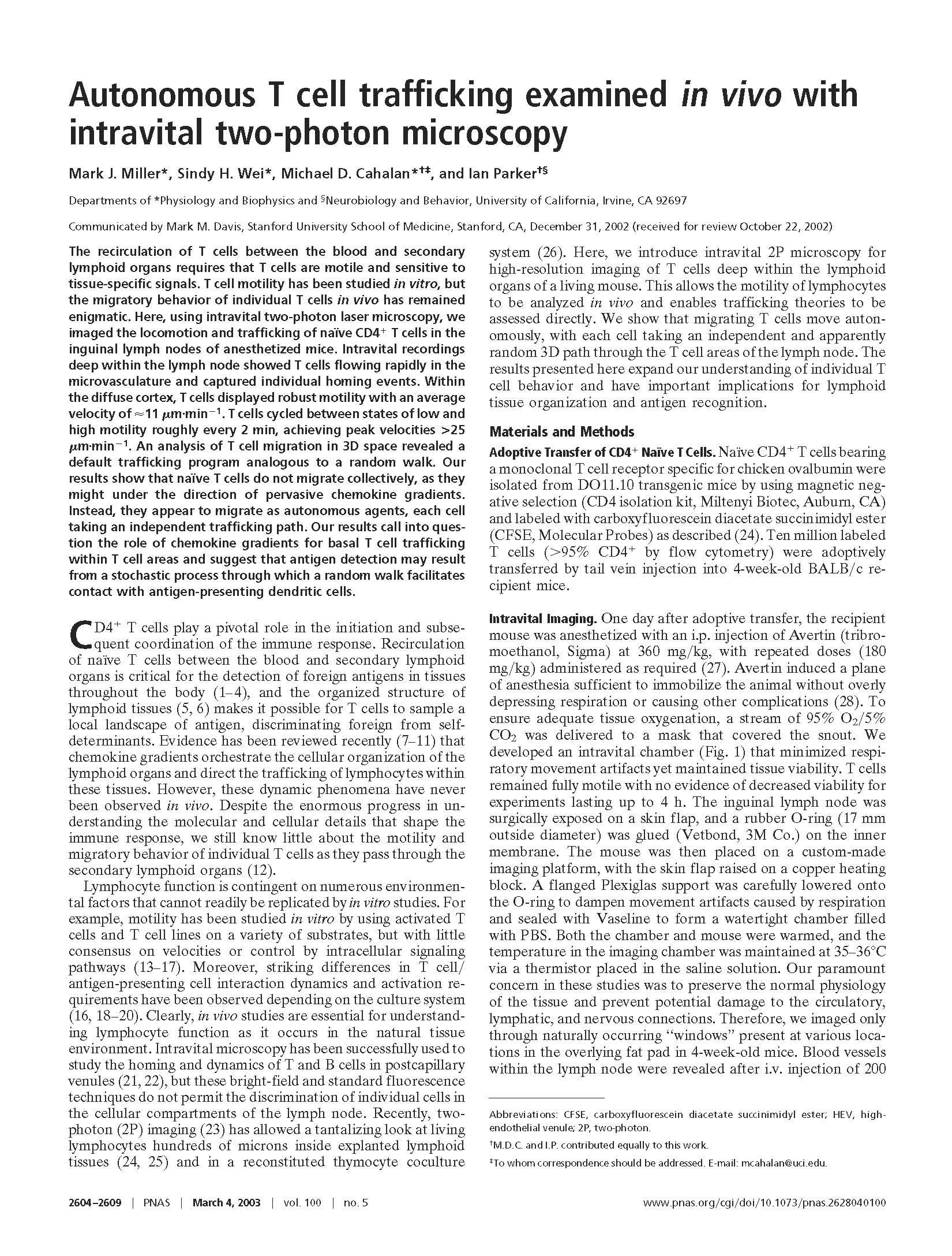 Rehab Ath Injuries