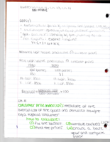 Chapter 11 Notes
