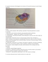 Study Guide Exam 2- General Biology