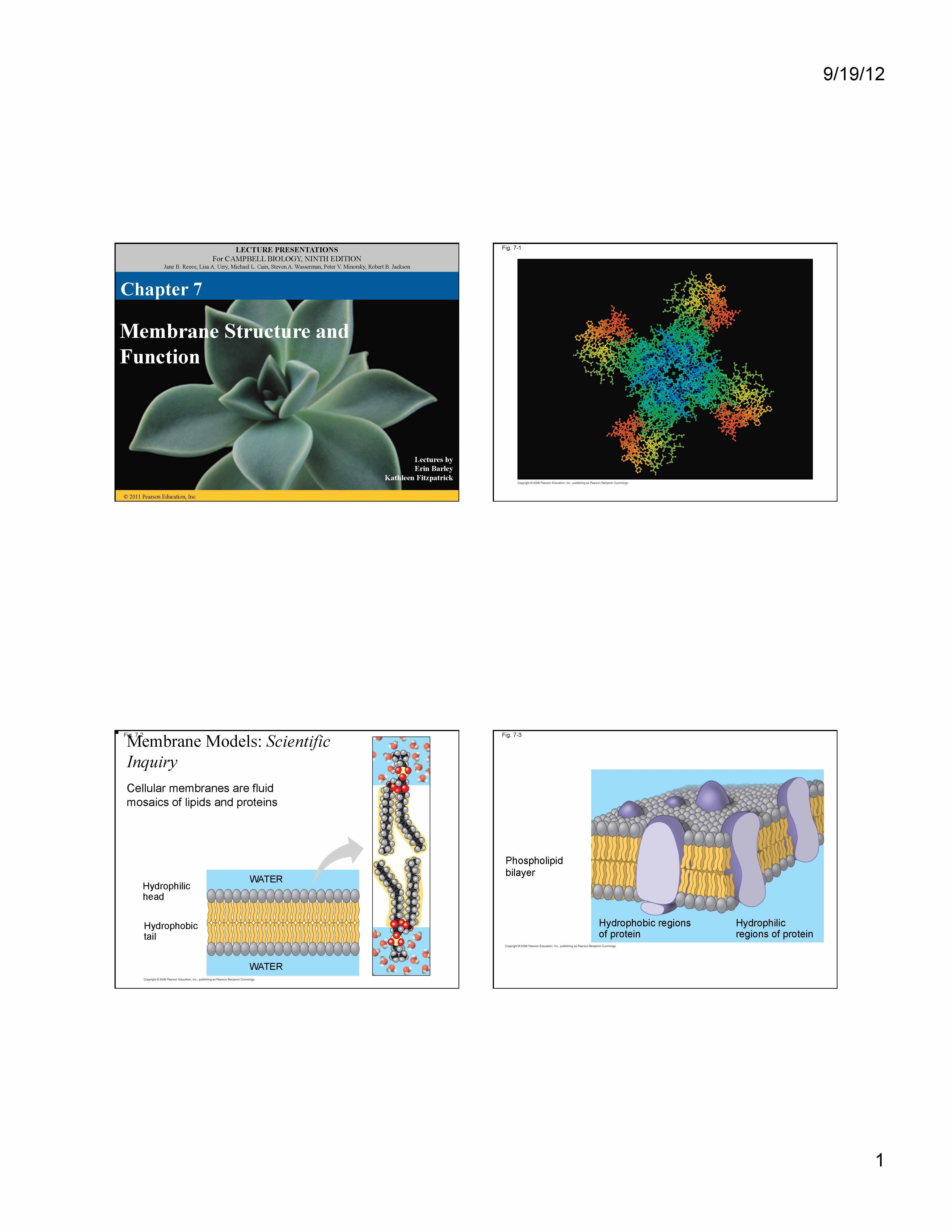 BIOL FOR SCI MAJ I
