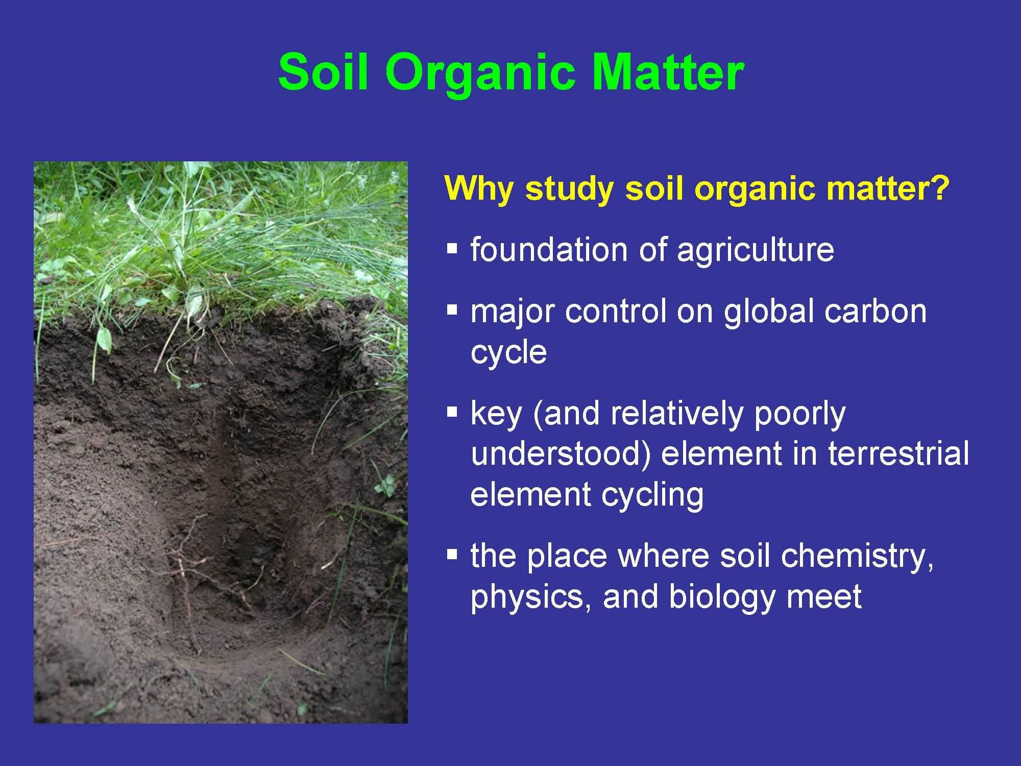 Soil Biology