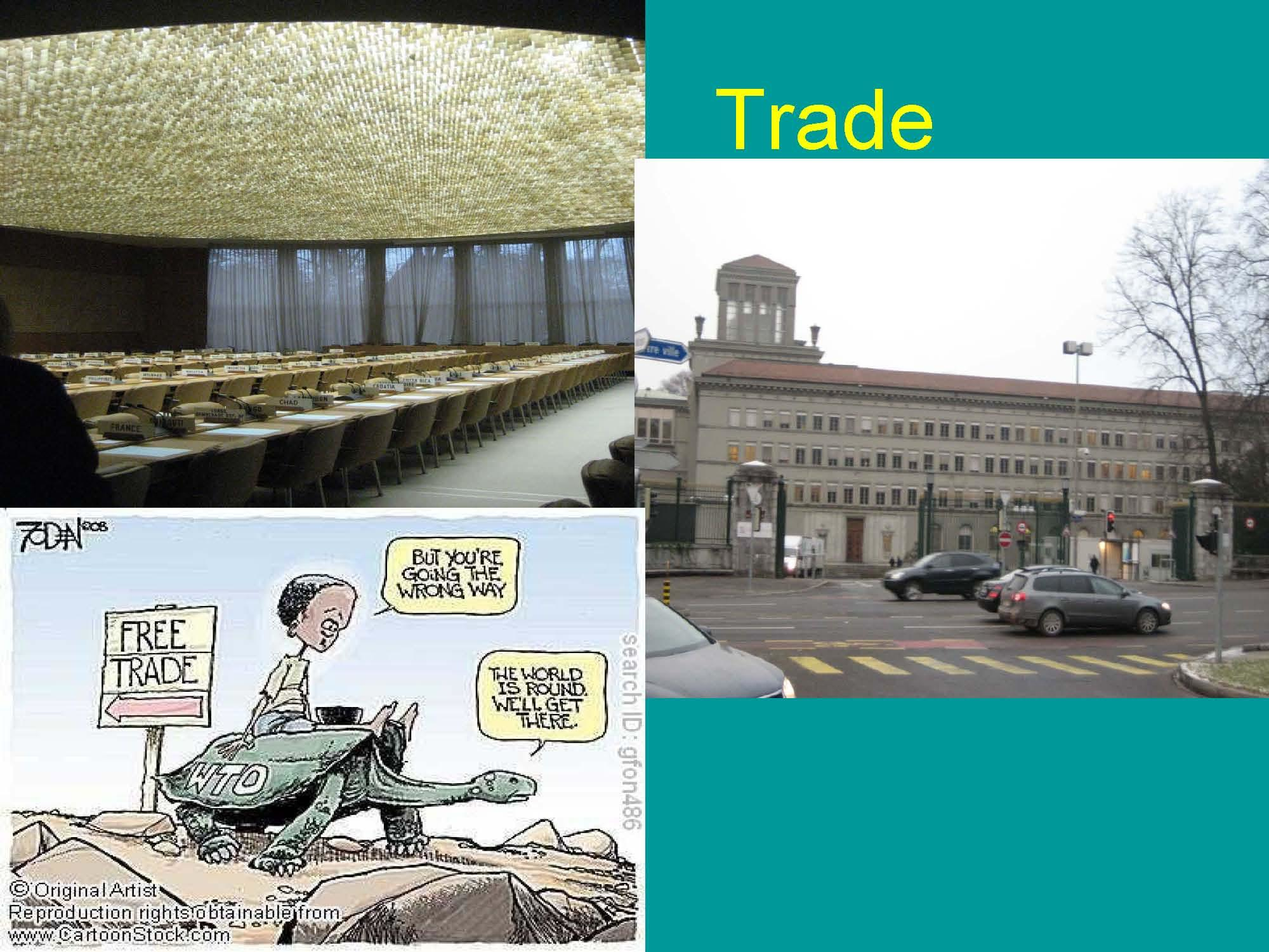 Intl LawOrganization