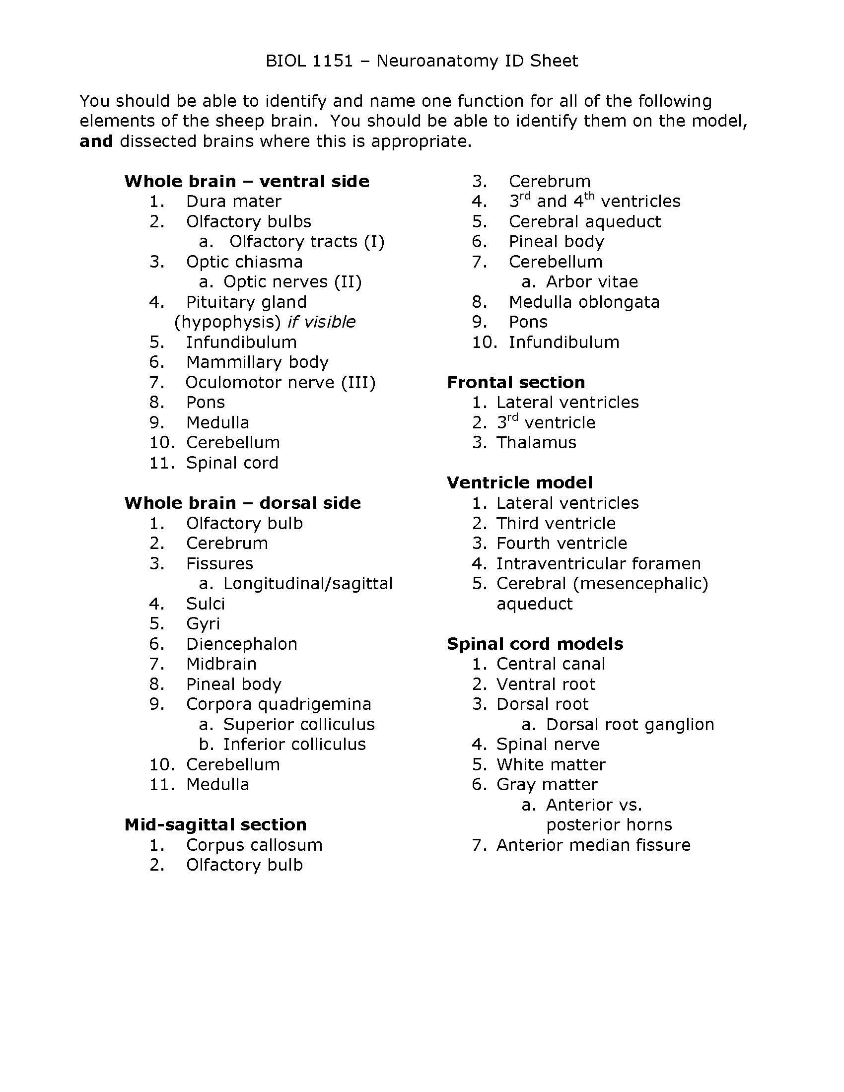 Human Anatomy and Physiology I