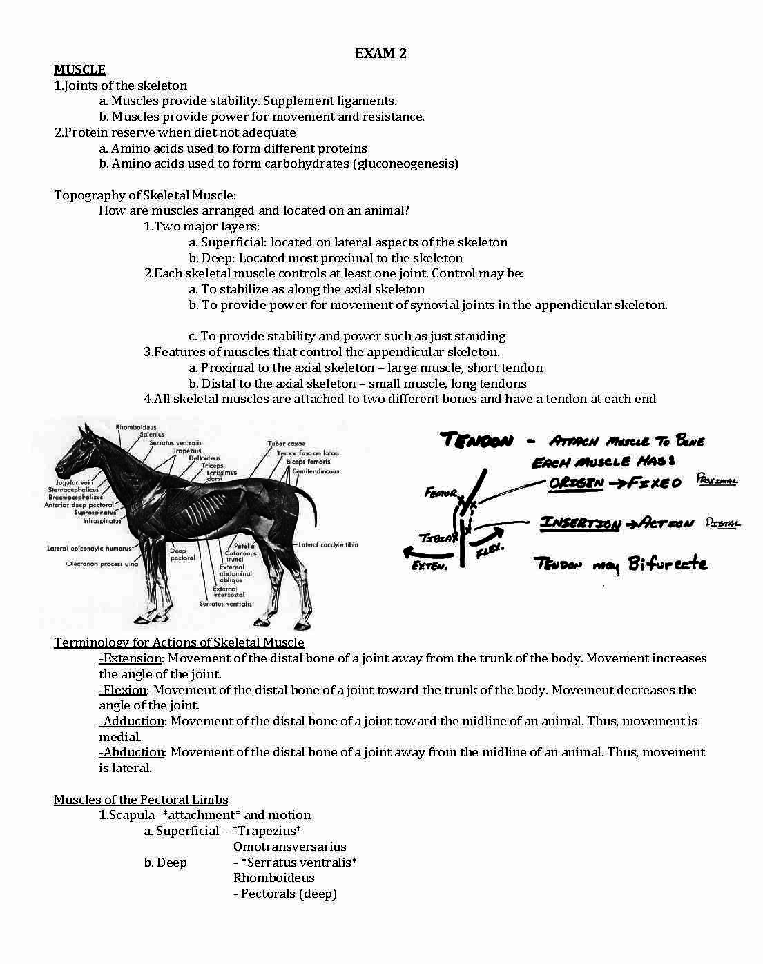 Anatomy & Physiology Farm Anml