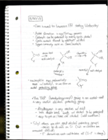 Lecture Notes Week 1