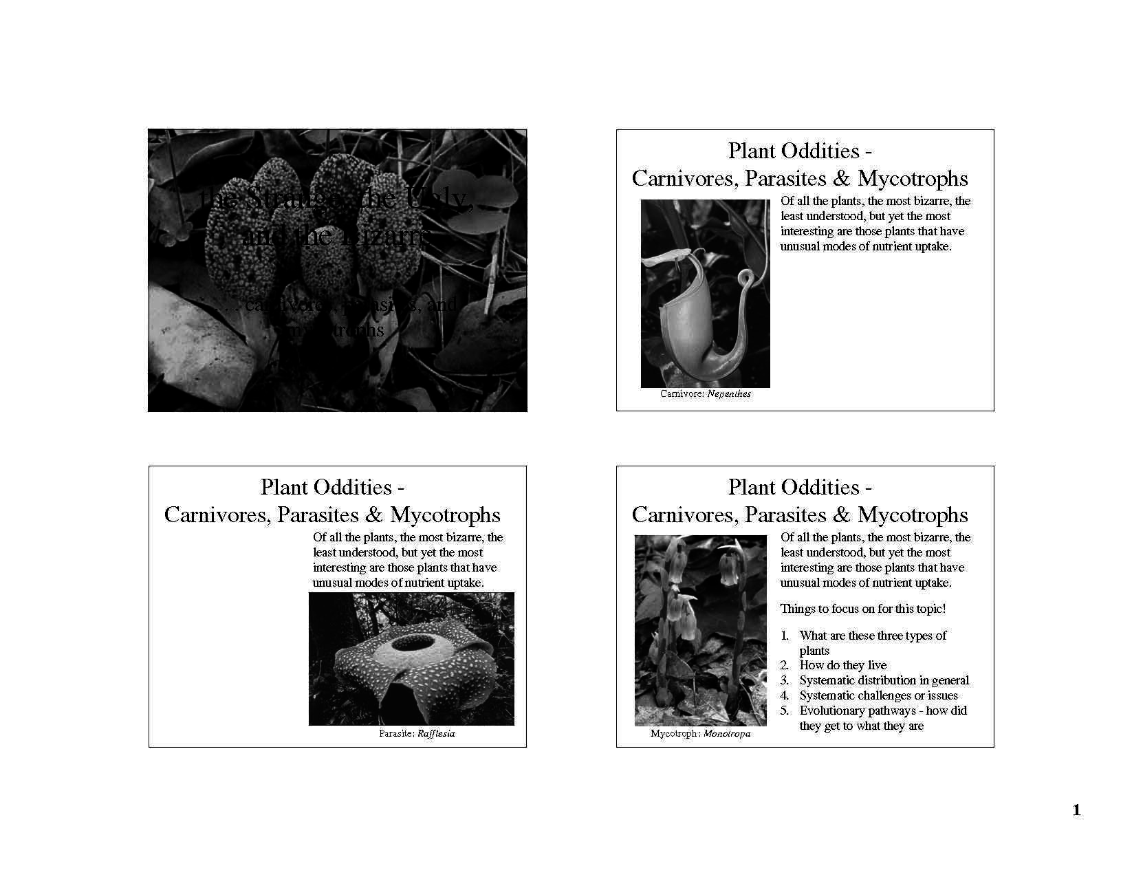 Plant Systematics