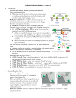 Lecture 9 Notes - Enzymology