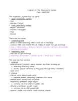 Chapter 23: Respiratory PART 1: ANATOMY