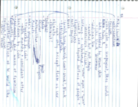 Week 2 Continued- The Sun Also Rises