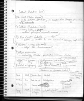 SBS 100: Human Origins - Study Guide