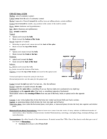 Notes for Midterm Exam 