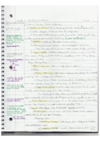 ch. 3- neruoscience