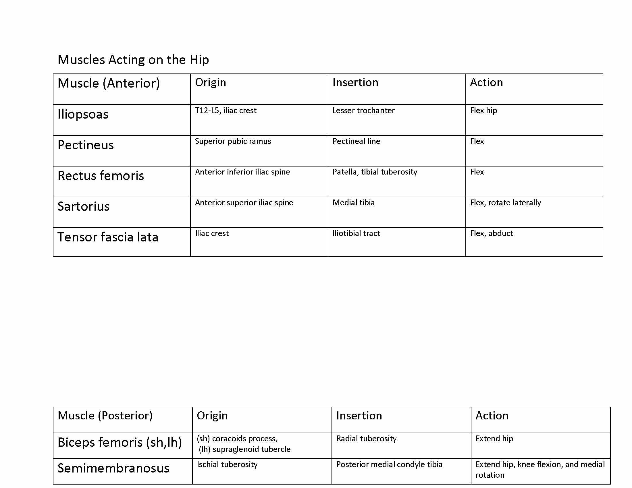 INTRO QUANTITATVE PHYSIOLGY II