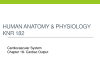 Chapter 18- Cardiac output