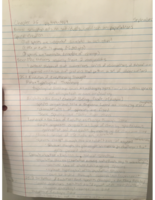 Week 3 Notes