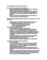 Photosynthesis (weeks 5&6) 