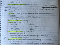 Chapter Four Notes