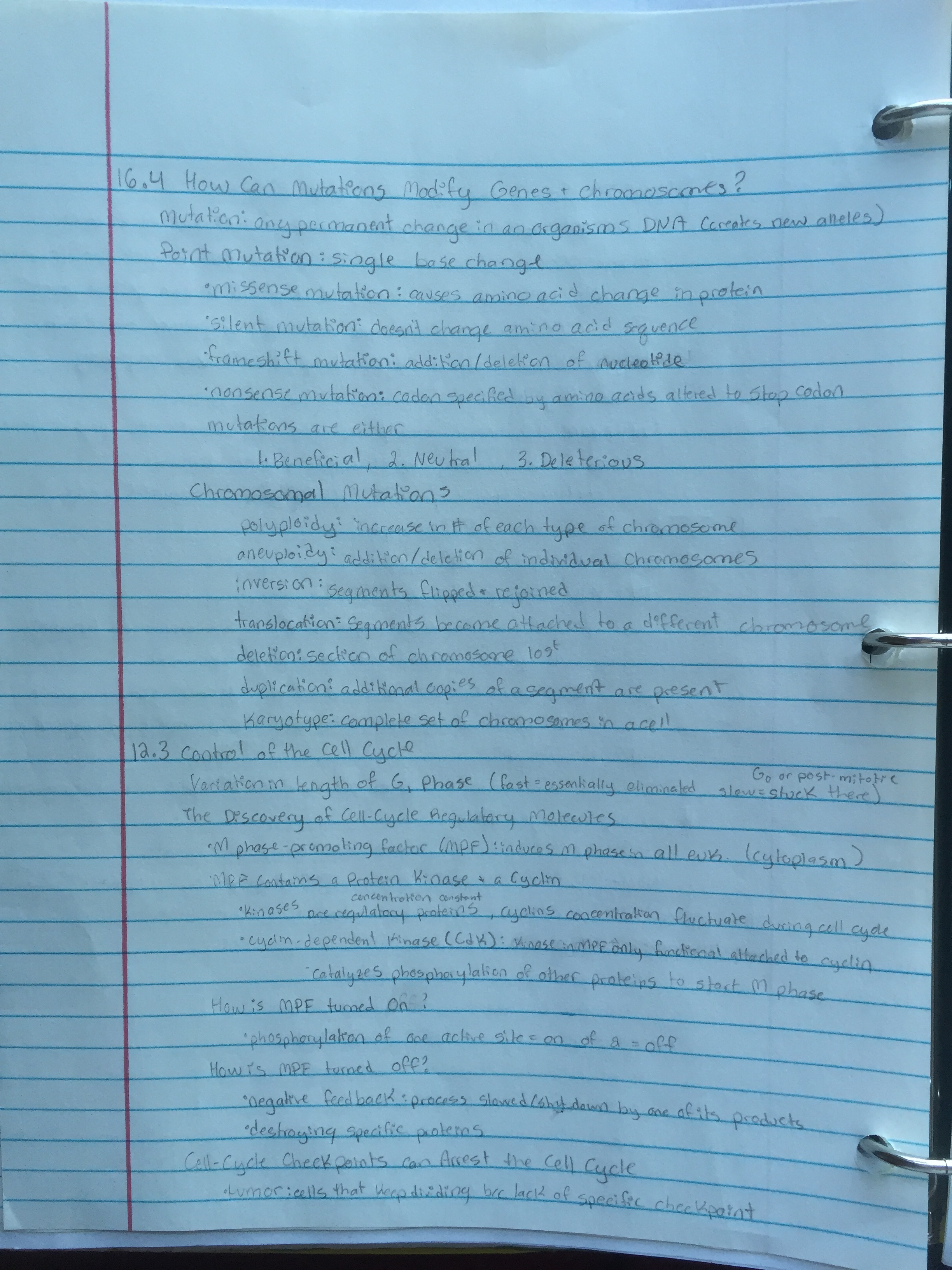 Week 7 Notes