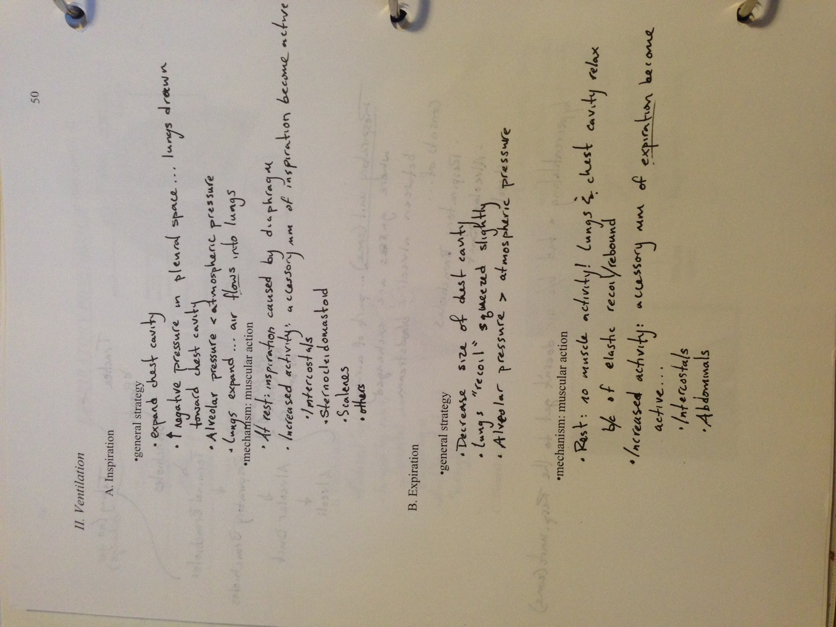 Clinical Physiology: Respiratory Physiology