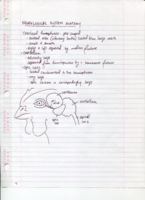 ABAS 3450, Chicken Lab #1