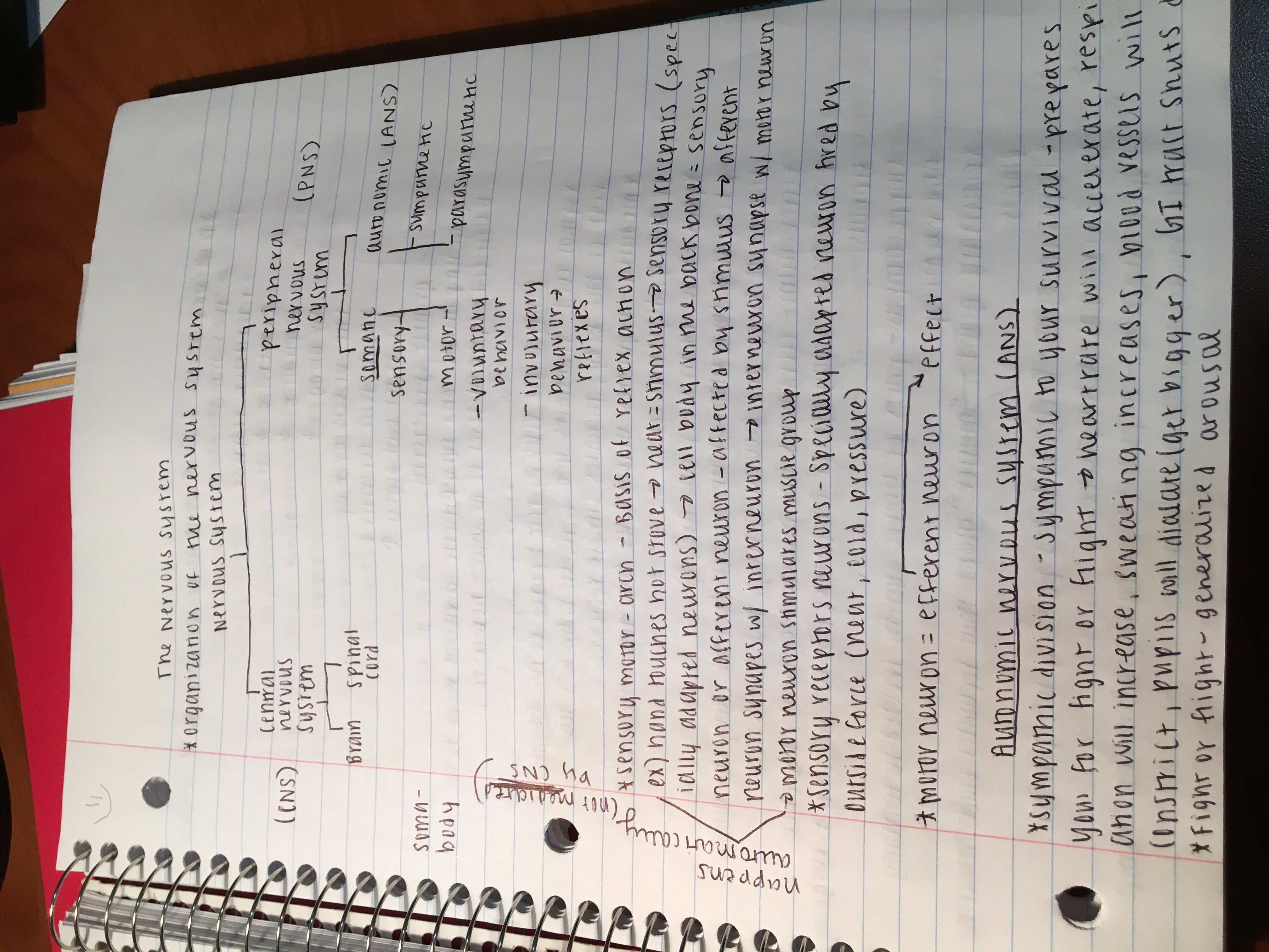 psych week 3/4 of notes