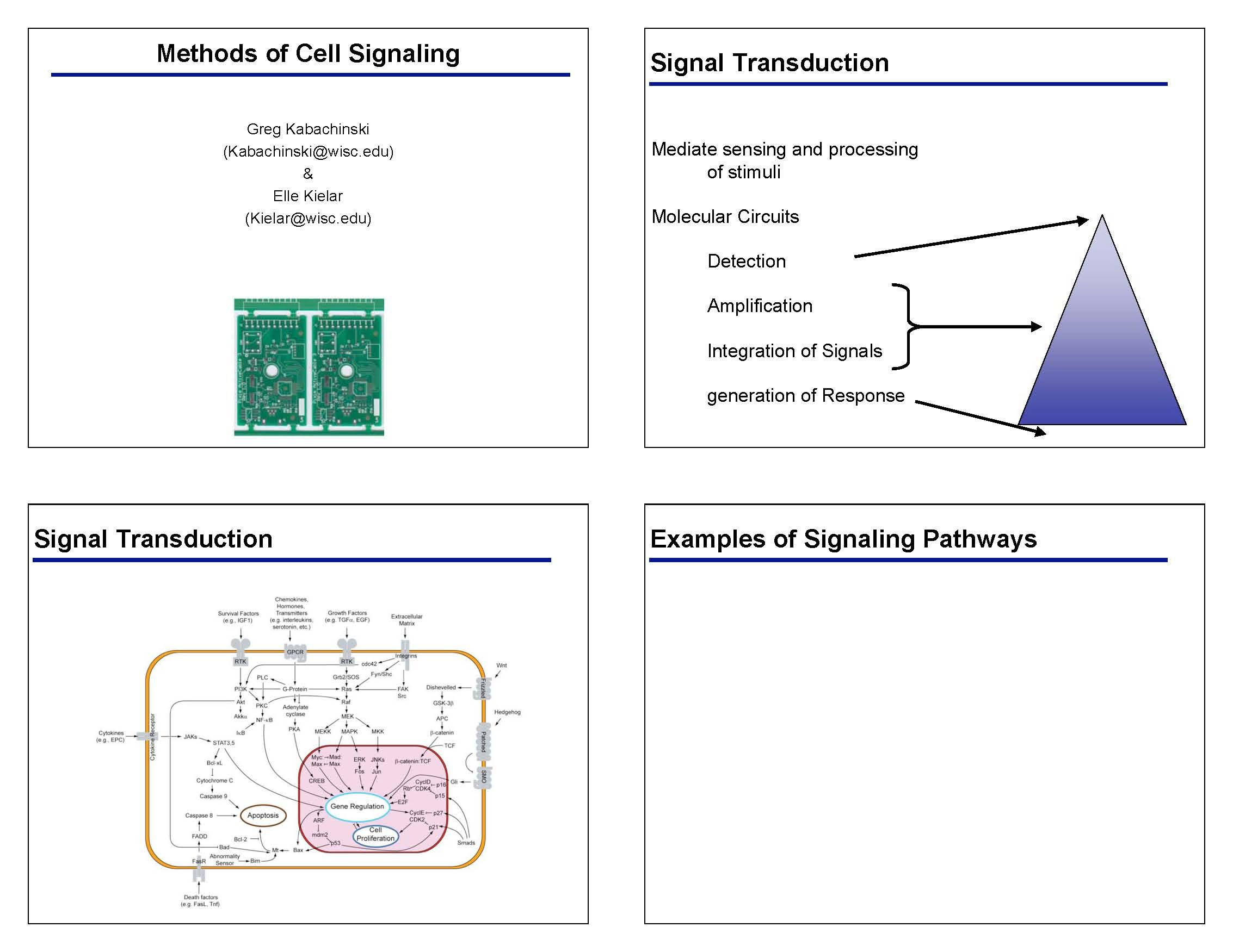 Methods in Biochemistry
