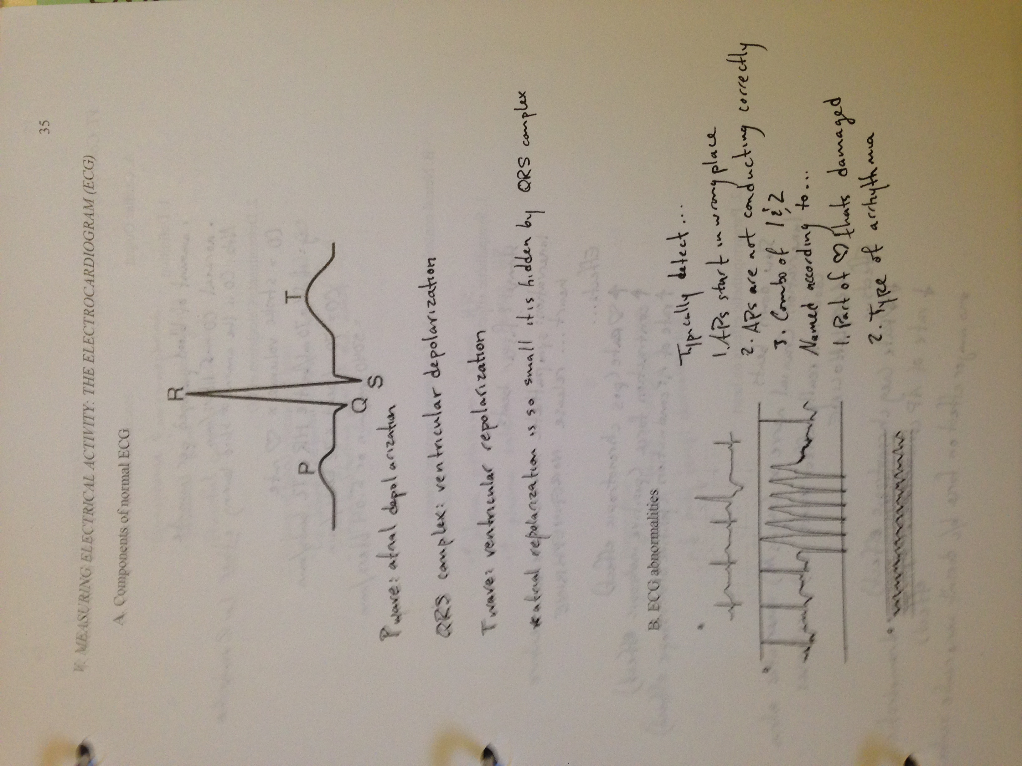 Clinical Physiology: Cardiovascular Physiology: Cardiac Function