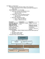 lecture 4--neuropsychology