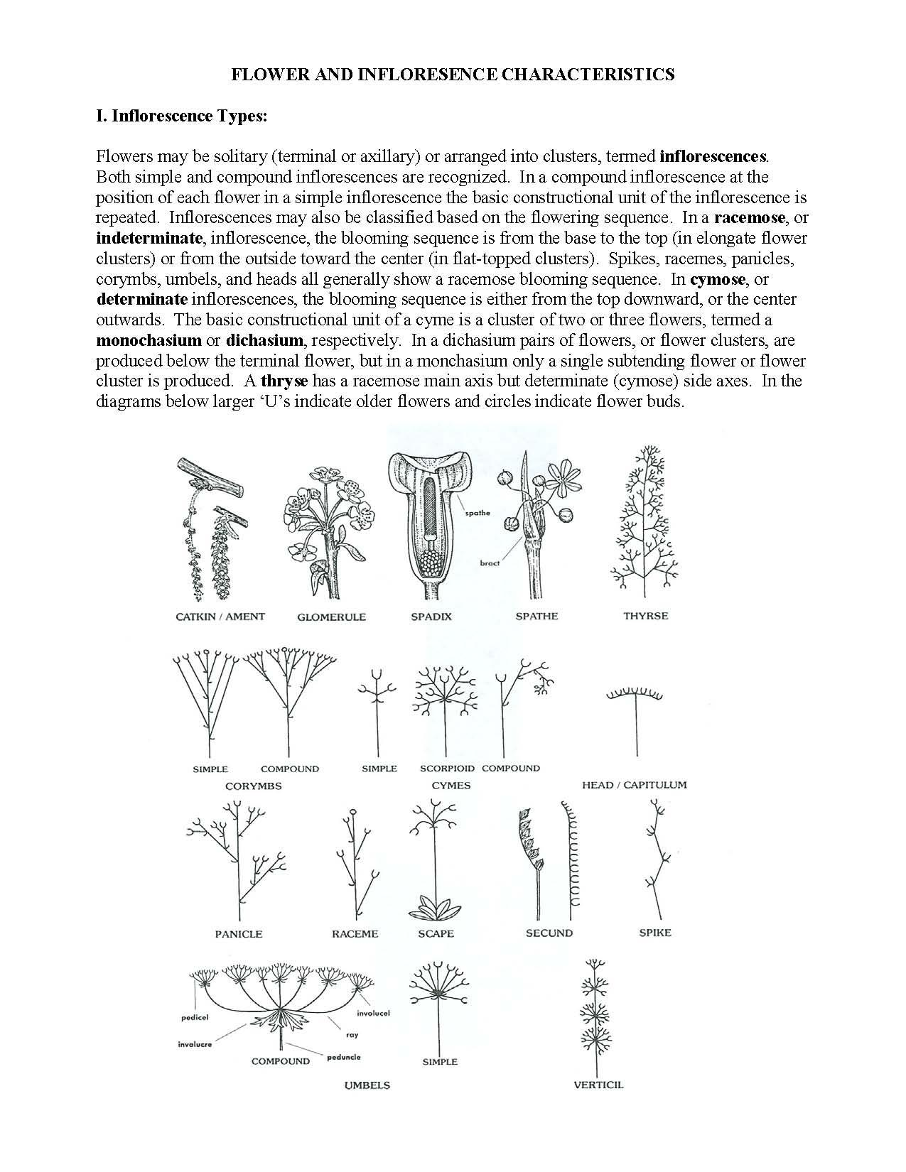 Fundmntls Horticulture