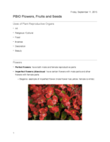 Flowers, Fruits, and Seeds