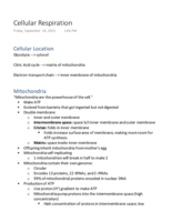 Cellular Respiration