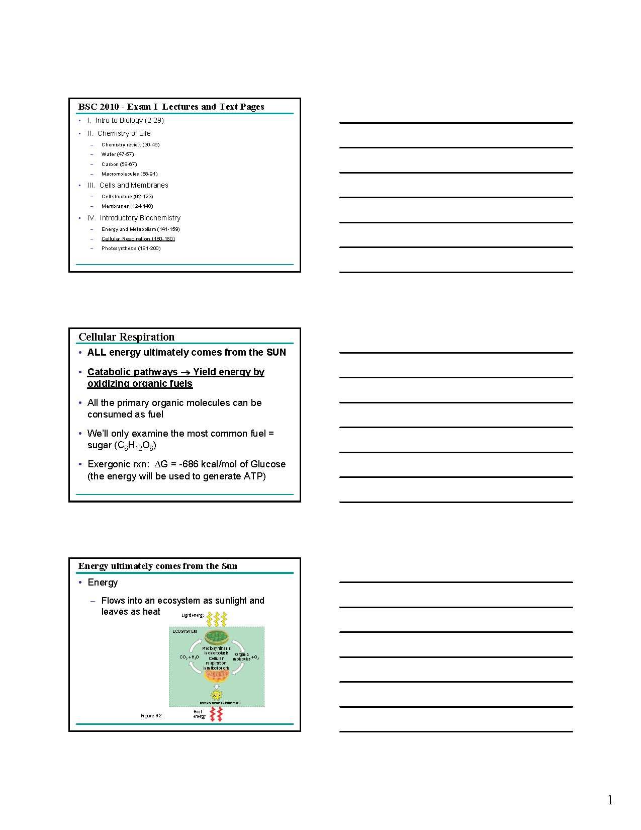 INTEGRA PRINC BIOL 1