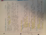 Social Work Notes 4/4/16