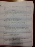 Soc 110, Ch 11 Notes