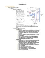 Exam 4 Notes: Set 2