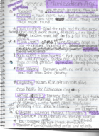Hist 1300 Week 8