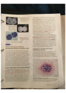 Biology in Focus chapter 9