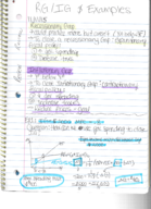 Econ 1202 Week 8