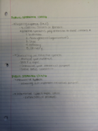 Public Speaking Week Two Notes
